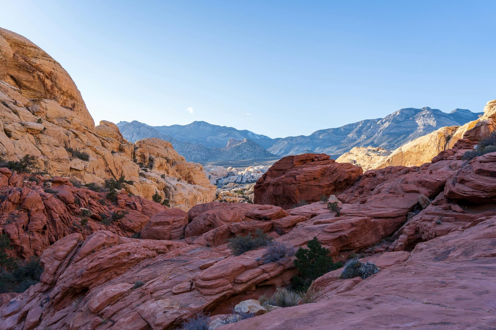 Red Rock Canyon | ATLAS ROTALARI